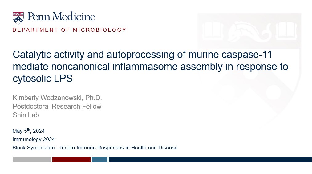 Dr. Kimberly Wodzanowski (@kawodzanowski) on Twitter photo Catch me at IMMUNOLOGY2024 on Sunday at 10am presenting a really cool collaborative project I’ve been lucky to be a part of between <a href="/BrodskyIgor/">Igor Brodsky</a> , <a href="/SunnyShinLab/">Dr. Sunny Shin</a> , and <a href="/taabaman/">Cornelius Taabazuing</a> labs at <a href="/Penn/">Penn</a> on noncanonical inflammasome assembly in response to cytosolic LPS! <a href="/ImmunologyAAI/">The American Association of Immunologists (AAI)</a> Catch me at IMMUNOLOGY2024 on Sunday at 10am presenting a really cool collaborative project I’ve been lucky to be a part of between <a href="/BrodskyIgor/">Igor Brodsky</a> , <a href="/SunnyShinLab/">Dr. Sunny Shin</a> , and <a href="/taabaman/">Cornelius Taabazuing</a> labs at <a href="/Penn/">Penn</a> on noncanonical inflammasome assembly in response to cytosolic LPS! <a href="/ImmunologyAAI/">The American Association of Immunologists (AAI)</a>