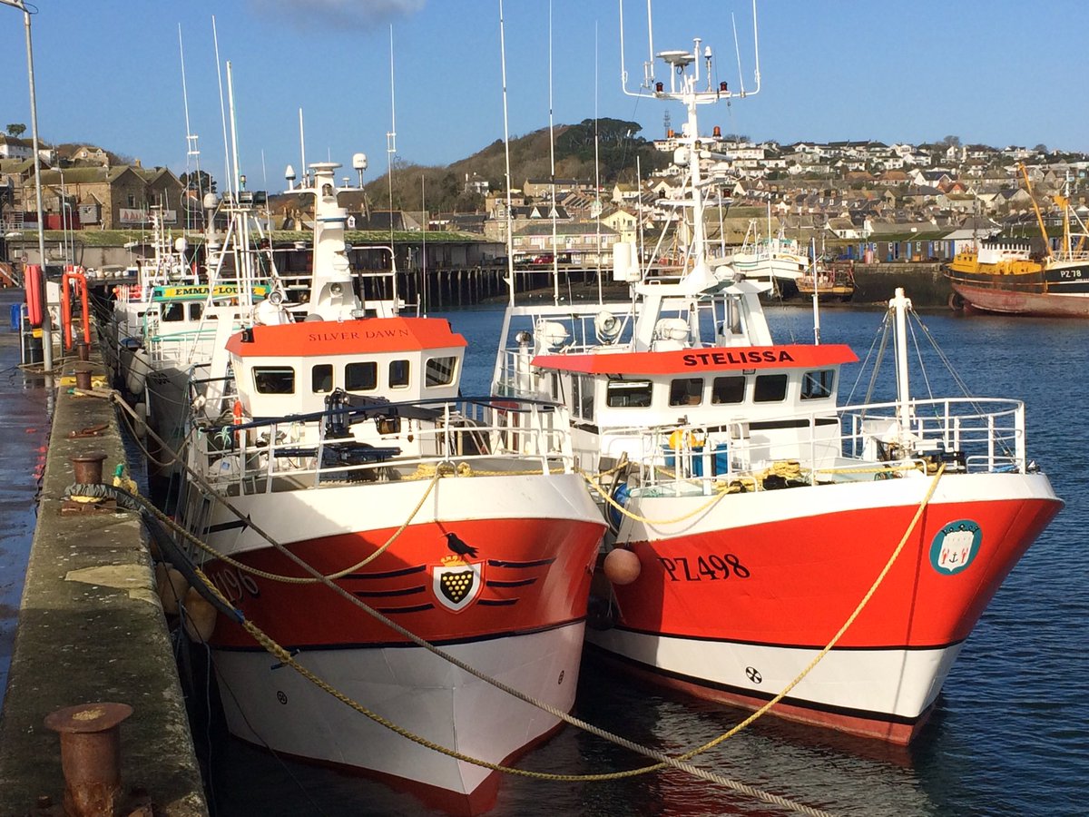 This morning’s #FreshCornish Fishy offerings Now in dispatch to a #Fishmonger/#Restaurant near You!    Now mooching abound one of our #GillNetters!  Hope you enjoy the trip!….Video>> youtu.be/X4VscsuofCc?si… @YouTube @DirectFish @Cornishfpo #EatMoreFish