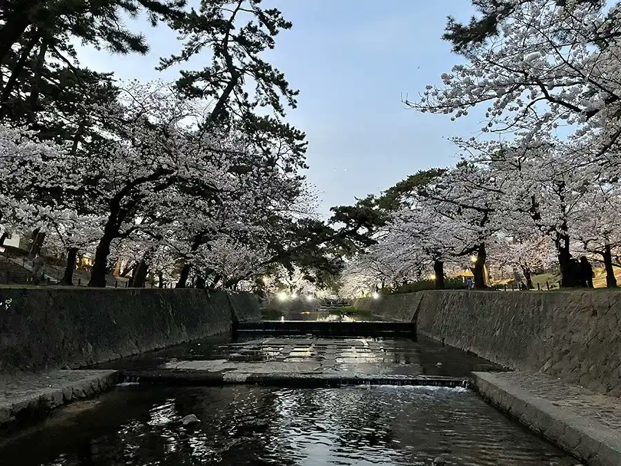 おはようございます😊 5月4日　土曜日 病室にいると目覚めが早く 外の賑やかさが恋しくなります😅 返信全くできずごめんなさい🙇‍♂️ GWも少なくなってきました🚗🚘🚠 皆さん 思いっきり楽しんでくださいね🌈🌷🍀 ※夕暮れの河川敷 #相互フォロー100 #フォロバ100絶対