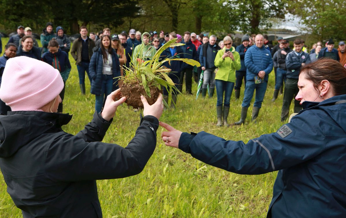 The first in a series, the opening Growing Organics Farm Walk of 2024 was held on the farm of Bill George, Coolanowle Organic Farm, Arles, Co. Laois on May 1, a dairy farmer supplying milk primarily to the Village Dairy. Find out more bit.ly/4b3rmO4 @TeagascOrganics