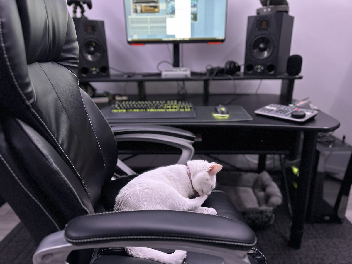 Cat bed right next to me? Na, she wants the gaming chair. 
#cats #CatsAreFamily #gamingpc