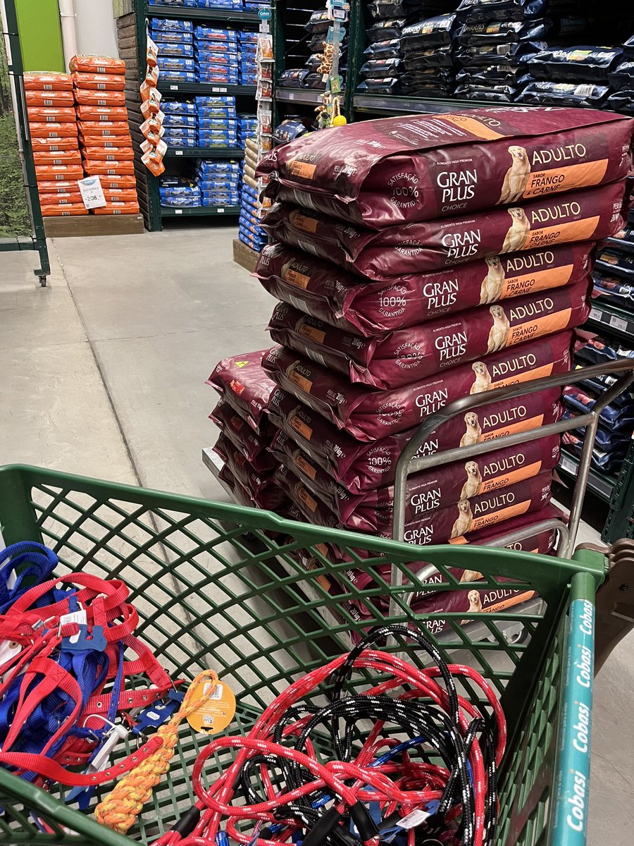 belamuller's tweet image. agora é hora dos animais que estão sofrendo muito!!
Sigam doando por favor, vai piorar muito ainda!!!!

bebelmuller@yahoo.com.br