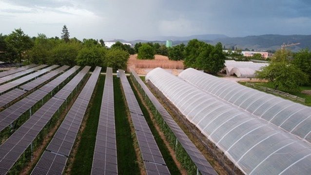 Unter #AgriPV wächst nix.

#Solar #Farm #Bauernhof #Solarpanels