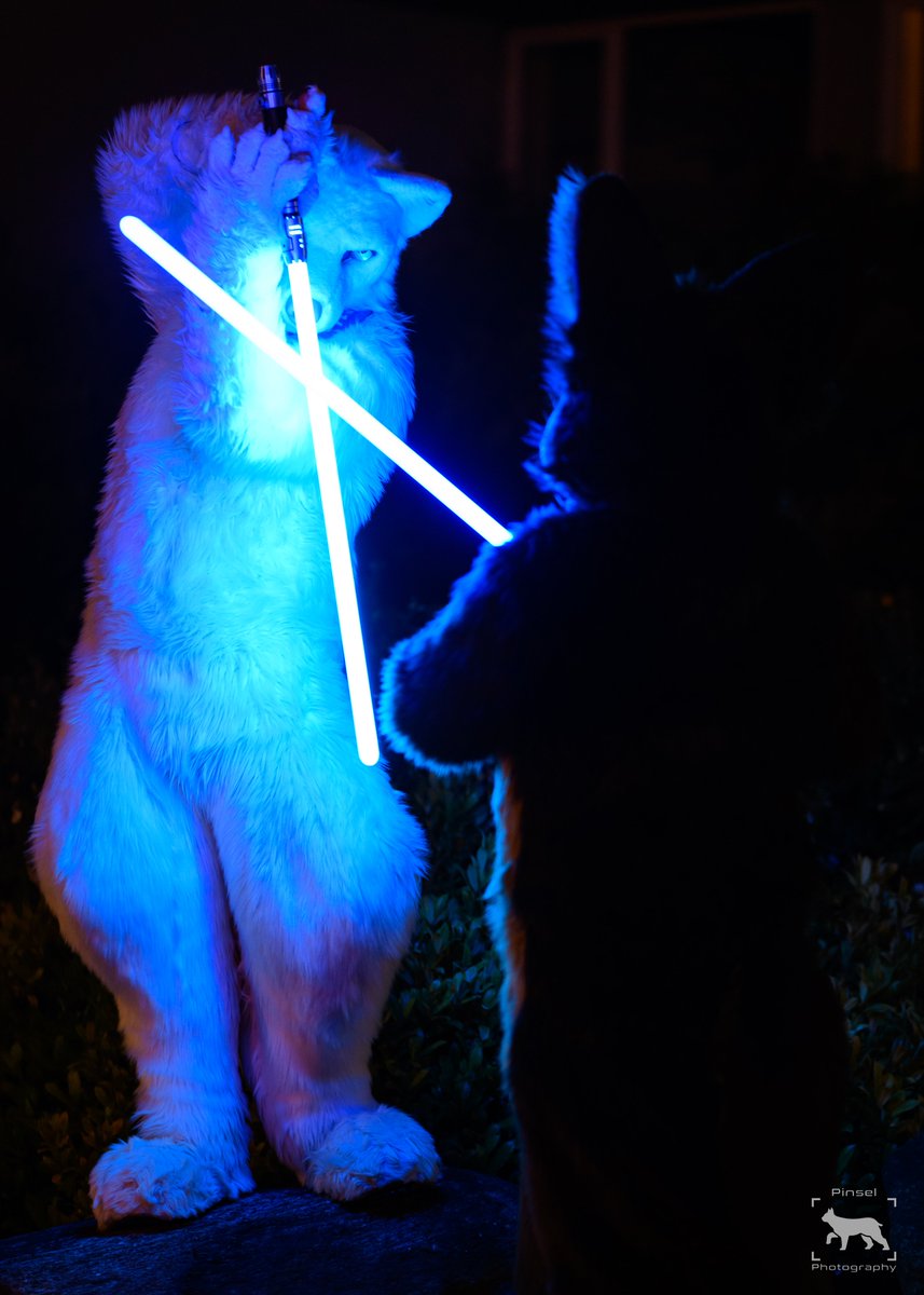 May the Fur be with you 🐺 @Shane_The_Wolf 📸 @PinselLuchs #starwars #MaytheForcebewithyou #MayThe4thBeWithYou