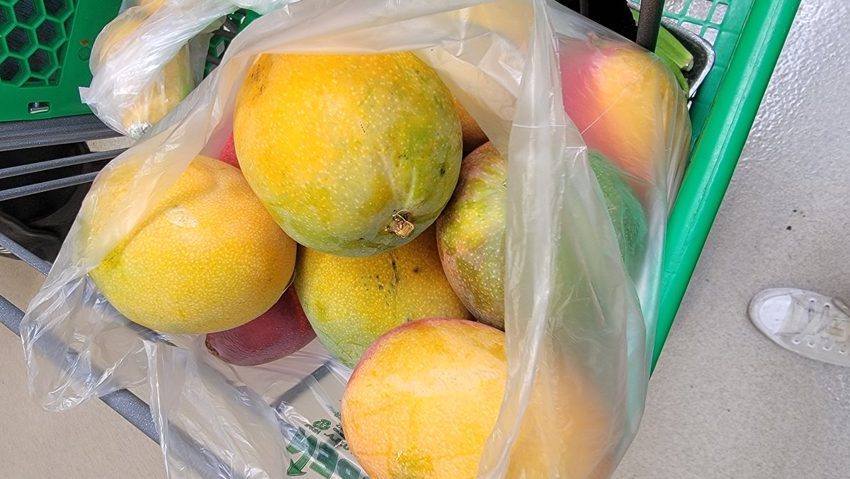 Would you spend $42 on 12 very sweet, very ripe, guaranteed delicious mangos from the Indian grocery store? Yes 😏 yes I did ✨️