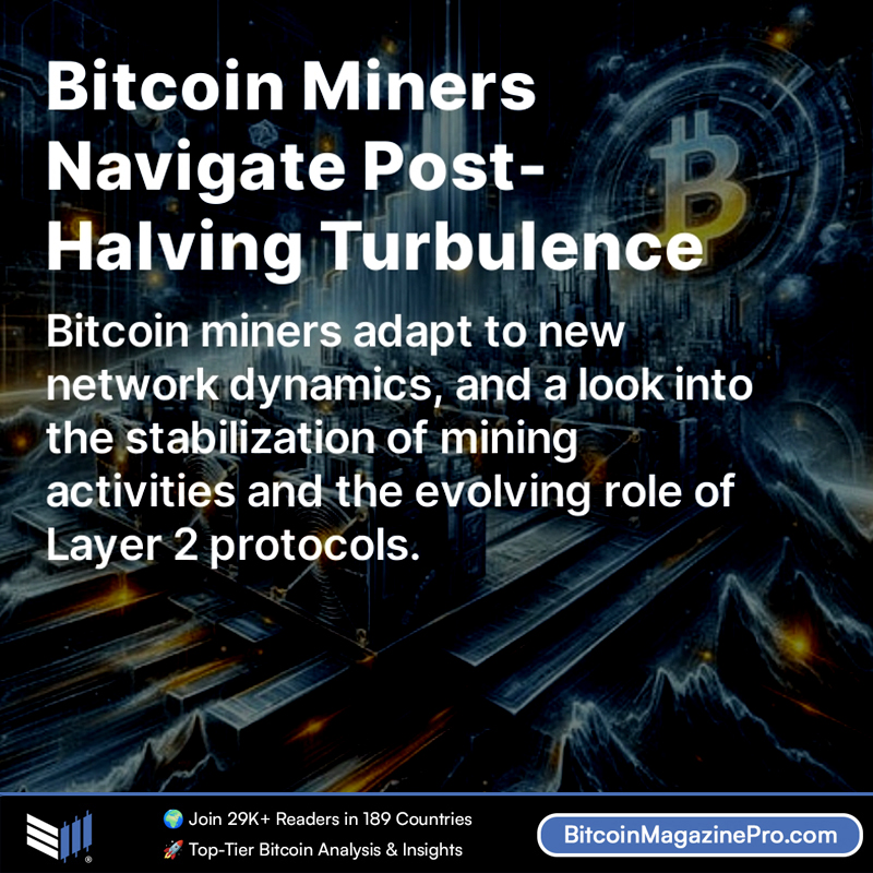 JUST IN: This report delves into the performance of public #Bitcoin miners, highlighting their adaptability in a rapidly changing economic environment and examining the stabilization of mining activities post-halving. 🔗 Dive into the mining report: bmpro.substack.com/p/bitcoin-mine… 👀