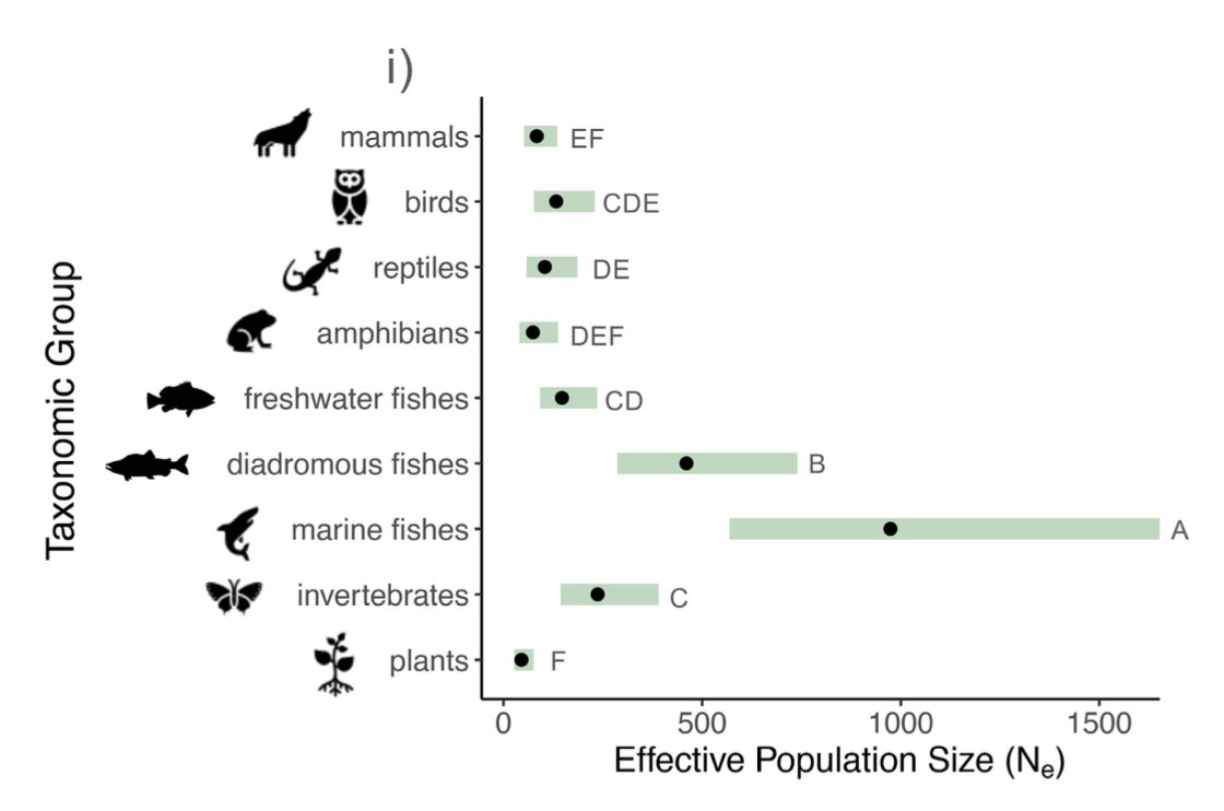 Clarke et al. @molecology 2024. 'Global assessment of effective population sizes: Consistent taxonomic differences in meeting the 50/500 rule' An interesting read! #conservation #genetics onlinelibrary.wiley.com/doi/10.1111/me…