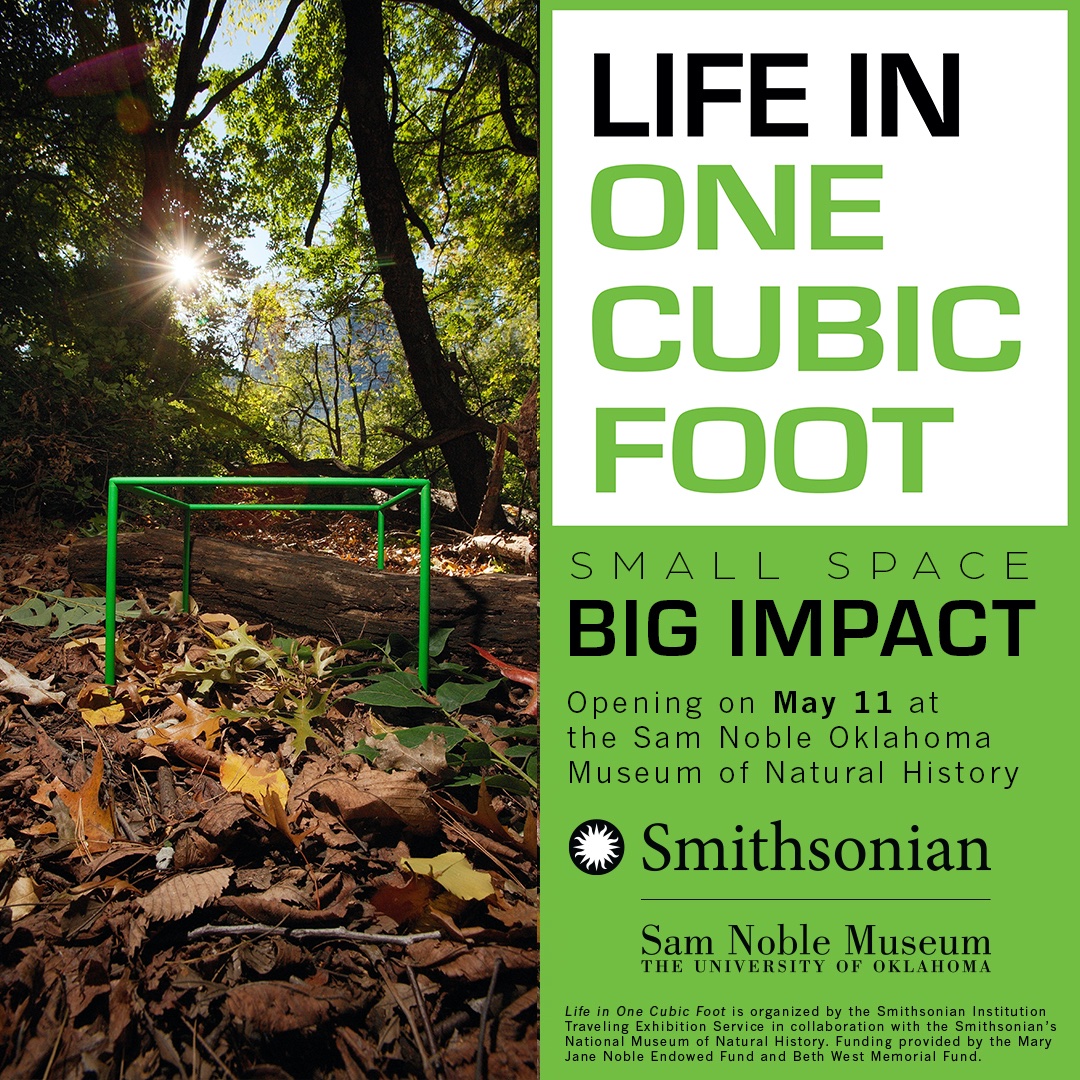 Exciting News! The Sam Noble Museum in Norman, OK, has officially announced the opening of a brand new temporary exhibit: “Life in One Cubic Foot”! Join us for a remarkable journey into the biodiversity of our planet. From Central Park to South African shrubland to coral reefs in