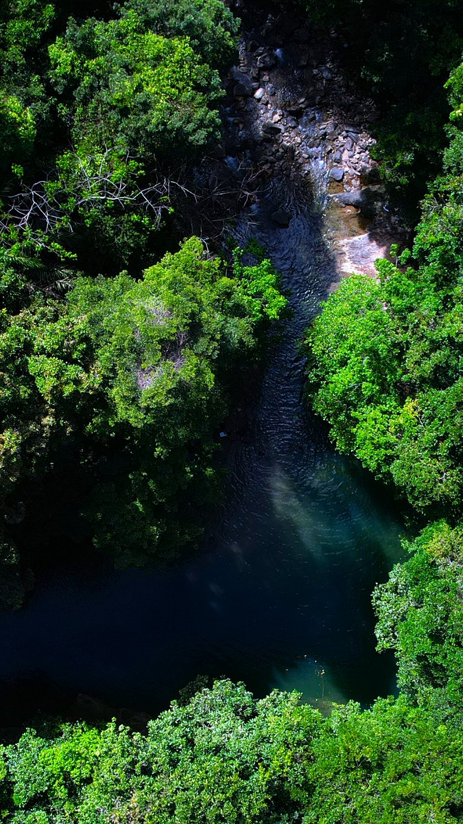 kabir_jm's tweet photo. Mermaid Pool, a place of serene beauty and hidden wonders 🌿💦 https://t.co/YRB3fqFTk2
