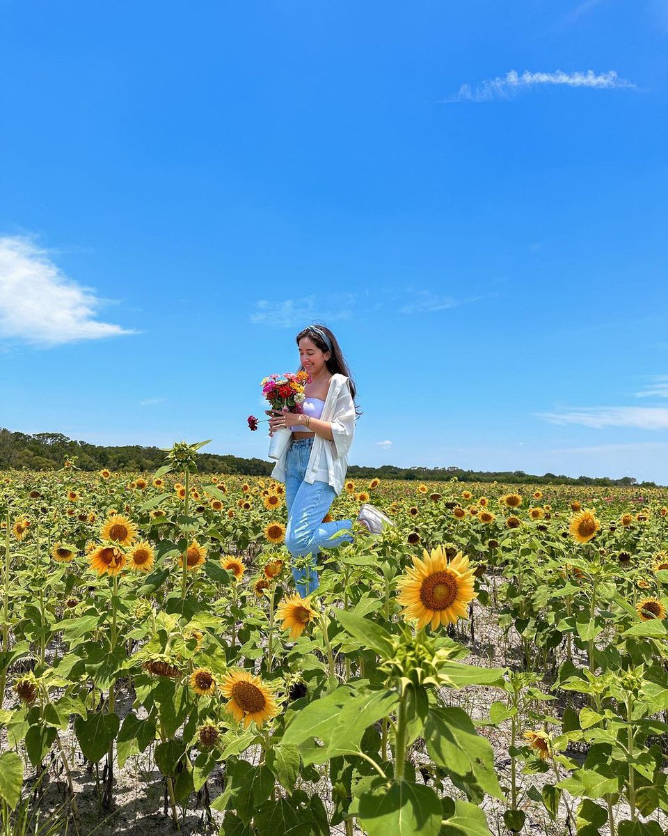 Attention flower enthusiasts! 🌸 Don't let the opportunity slip away to explore the stunning flower fields at Hunsader Farms. They're blooming until the end of May. 🌼

More info bit.ly/3JnkDCy

📸 instagram.com/bytatianamarie