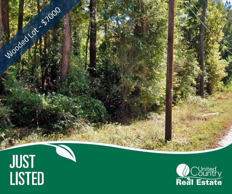 New Listing - wooded lot, in Cheraw.