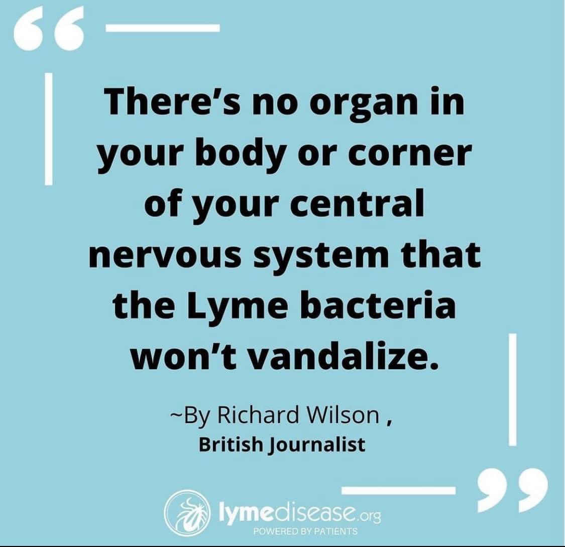 This bacteria is ruthless. It will affect every part of your body. 💚

 #lymedisease #lymediseaseawareness #lymewarrior  #chronicillness #chroniclyme #lifeofaspoonie #awareness #educationiskey  #ignoredincanada #invisibleillness #lymeontario #lymediseaseawarenessmonth