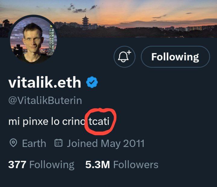 Who knows @VitalikButerin can be owner the #Catcoin