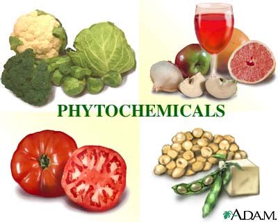 Phytochemicals and phytonutrients! 

While not essential for human survival, these plant compounds are like nature's secret weapons, helping plants thrive and fend off threats...