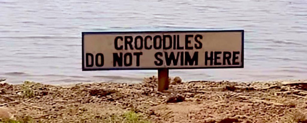 hmmmm. sounds like something a fuckin’ croc would write.