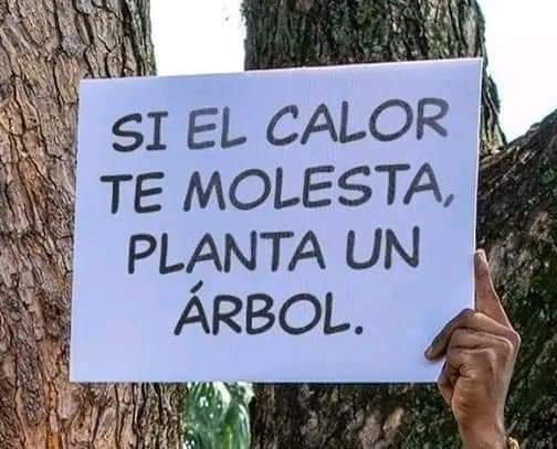 #OlaDeCalor