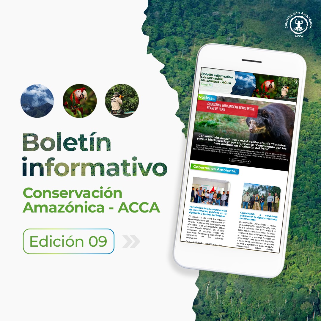 #BoletínACCA 📢 | Ya está disponible la última edición del boletín informativo de Conservación Amazónica - ACCA. No te lo pierdas 📰

Puedes consultarlo en el siguiente enlace 👉 bit.ly/boletinacca_ed…

#BoletínInformativo #ACCA #ConservaciónAmazónica
