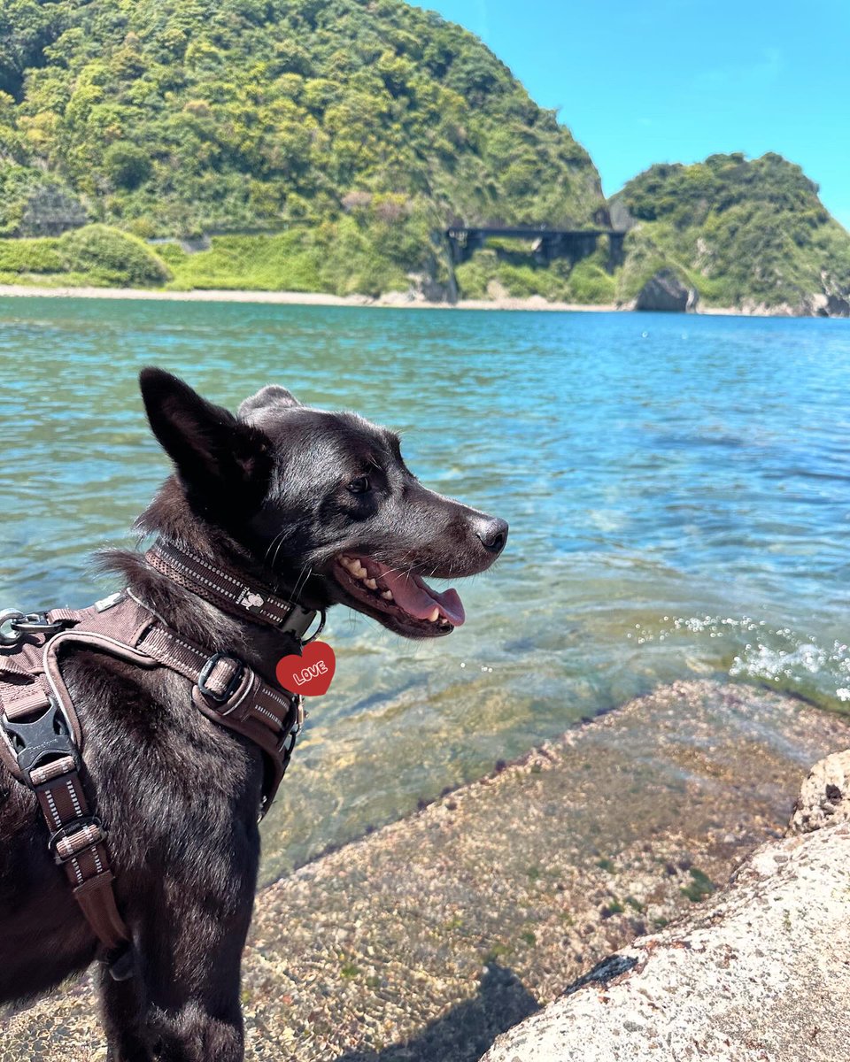 2024海開き🩵
最高の夏が始まった😆🏝️🩷