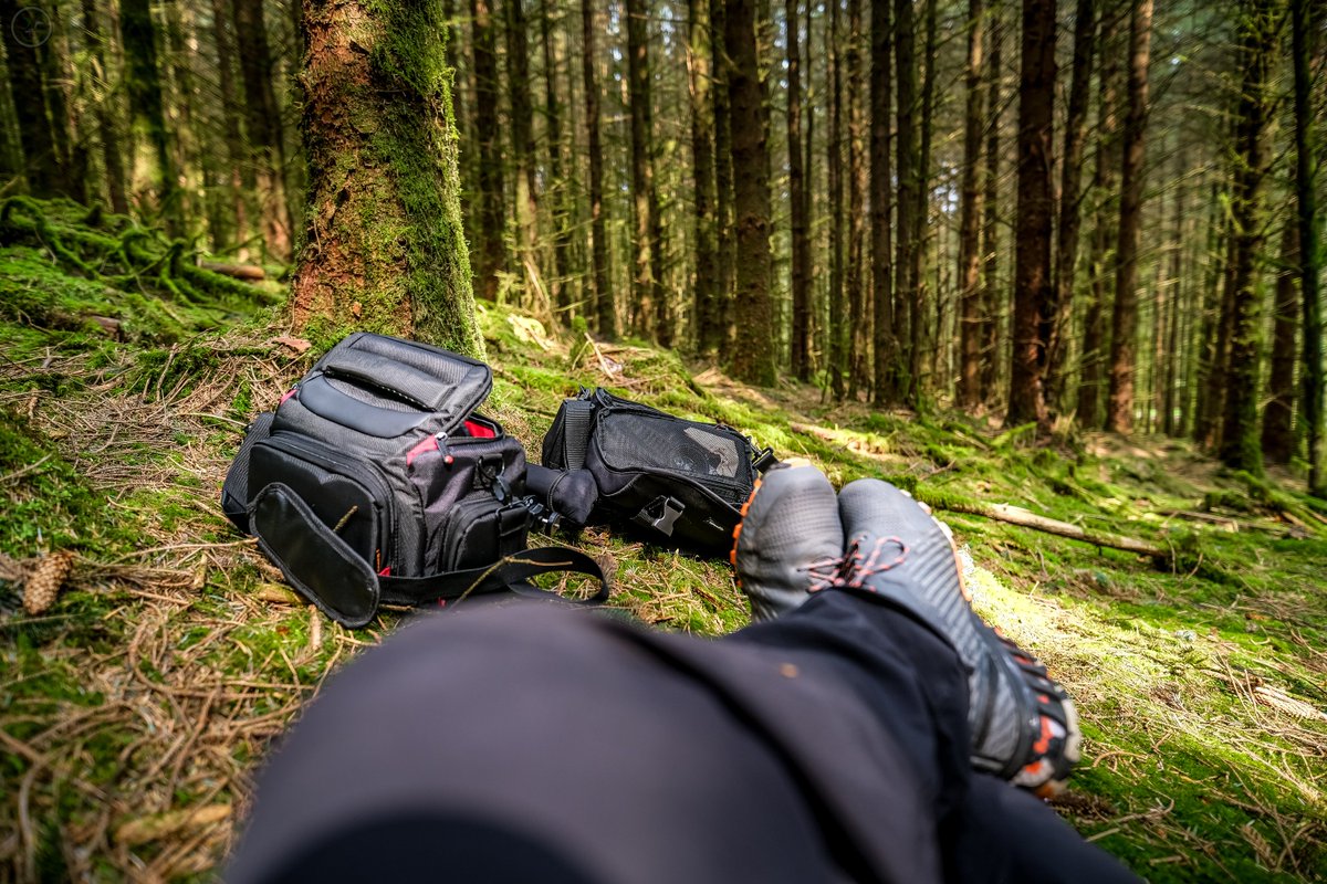 Forest Relaxation

Actually doing what a doctor says to, blood pressure still too high so more tablets but relaxation is priority for a bit still.

#woodland #relaxation #naturephotography #greenspaces #undergrowth #nature  #naturephotography  #photography #photographer