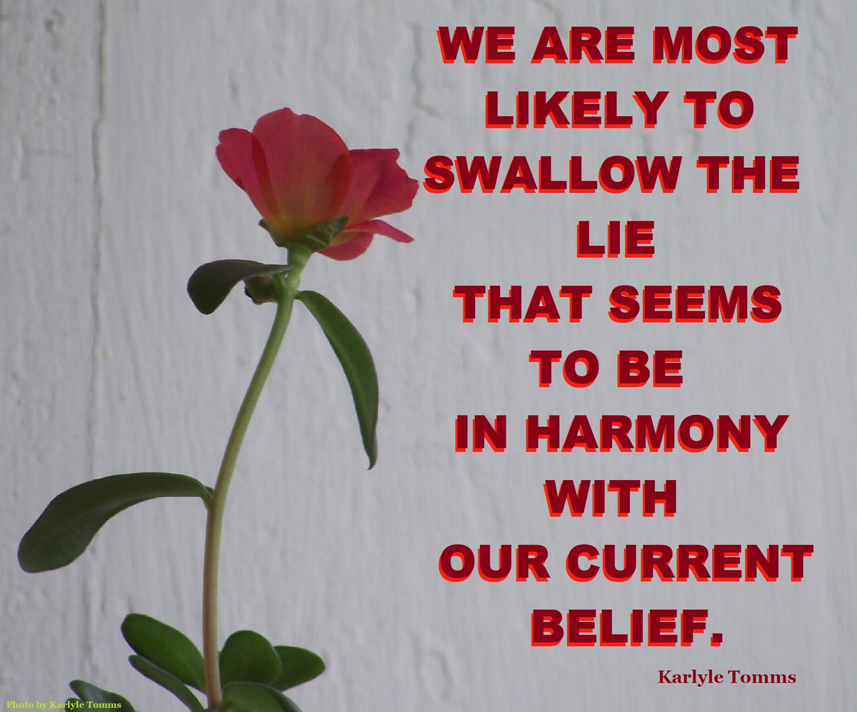 #misinformation #beliefsystems  karlyletomms.com