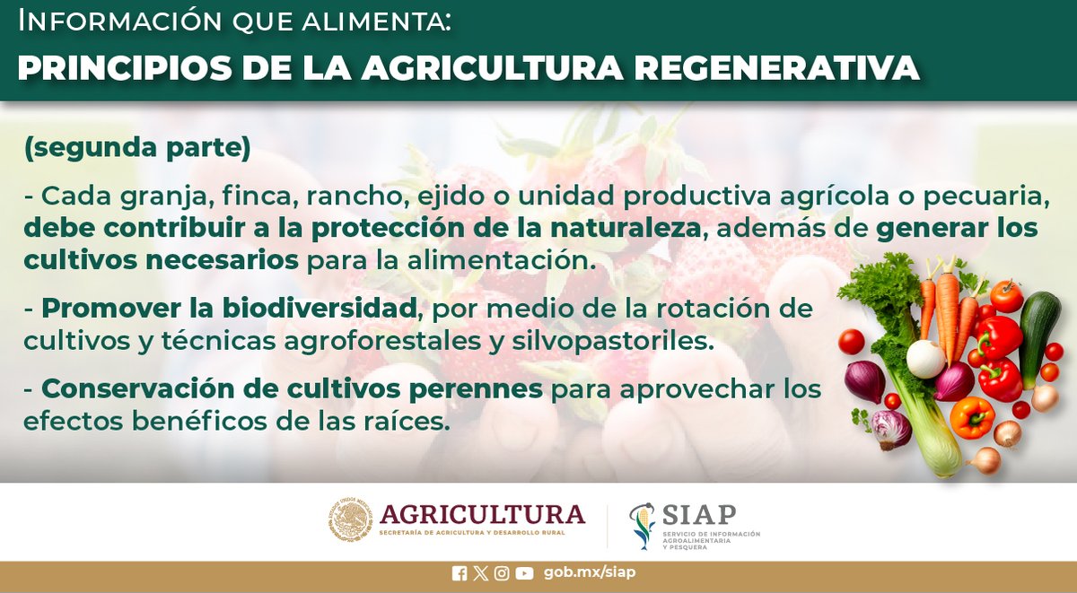 #InformaciónQueAlimenta #AgriculturaRegenerativa #Sustentabilidad #TransformarLosSistemasAlimentarios #AgriculturaMexicana