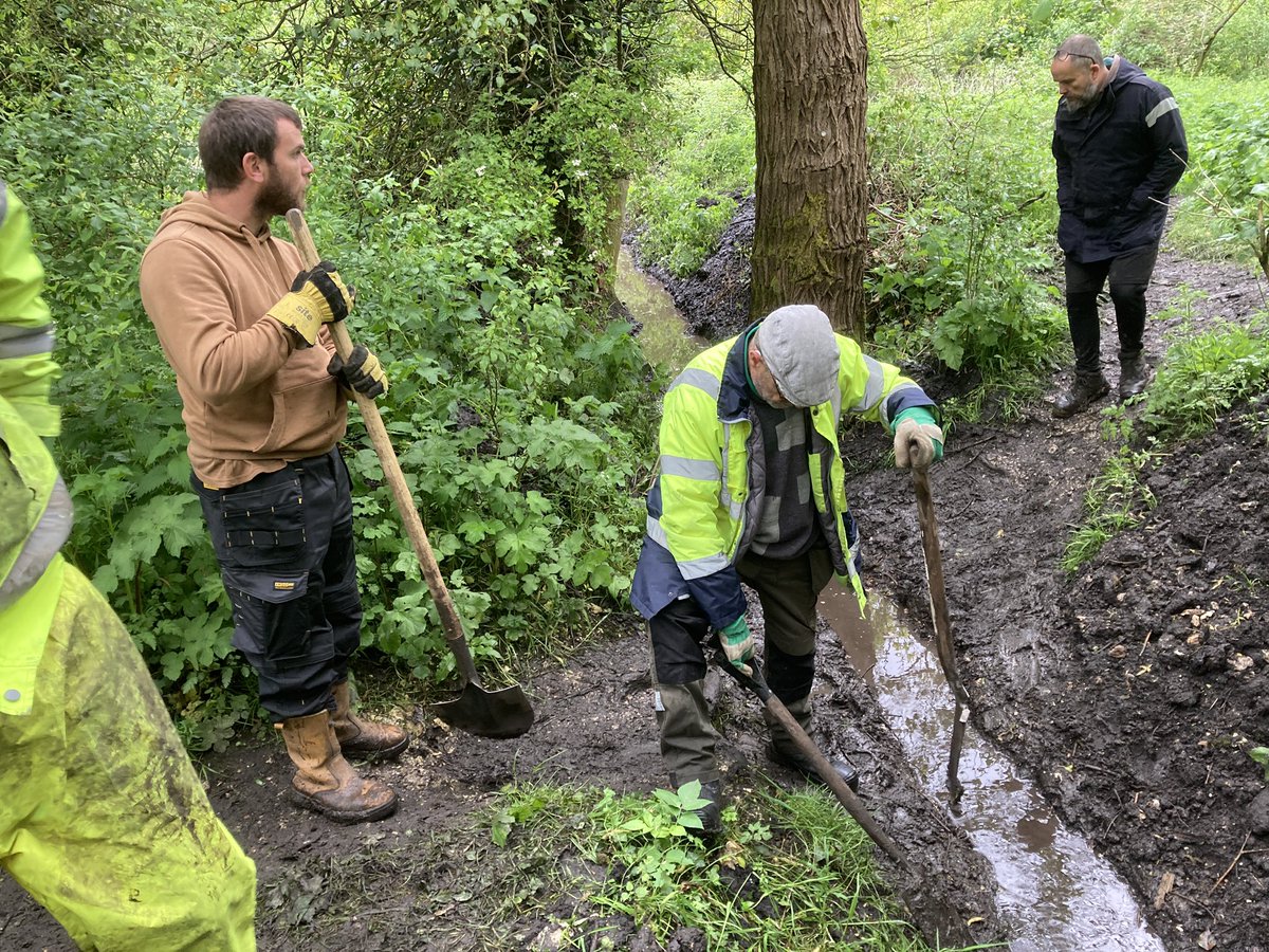 A massive thank you to the 19 volunteers who helped dig out the overflow ditch in Tice’s Wood today. As always, it was a privilege to be working alongside the @SurreyChoices Growth Team. Great work everyone.