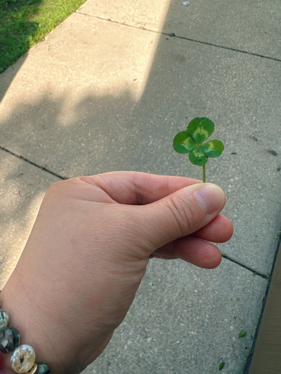 I found the four leaf clover❣️ I’m sooo LUCKY 😊🍀 
#fourleafclover