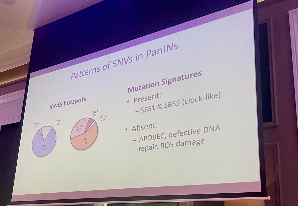 Best part of today was seeing this presented!🌟Glasgow #PancreaticCancer 2024 ➡️way too many heterogenous PanINs visualised in 3D! Different KRASm, dominant SBS 1,5 present, why do some progress!❓host factors/TME-great discussions @lauradelongwood @fiekefroeling @BarbaraGrnwald