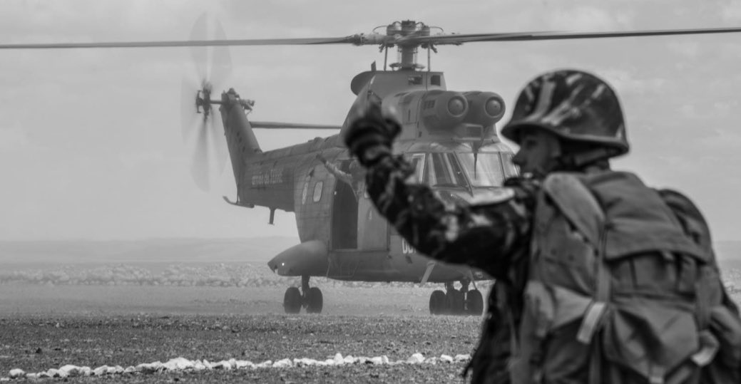 Райан ۞ tweet media