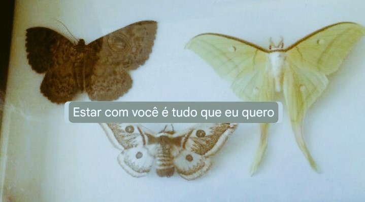 radioativo_T's tweet image. 