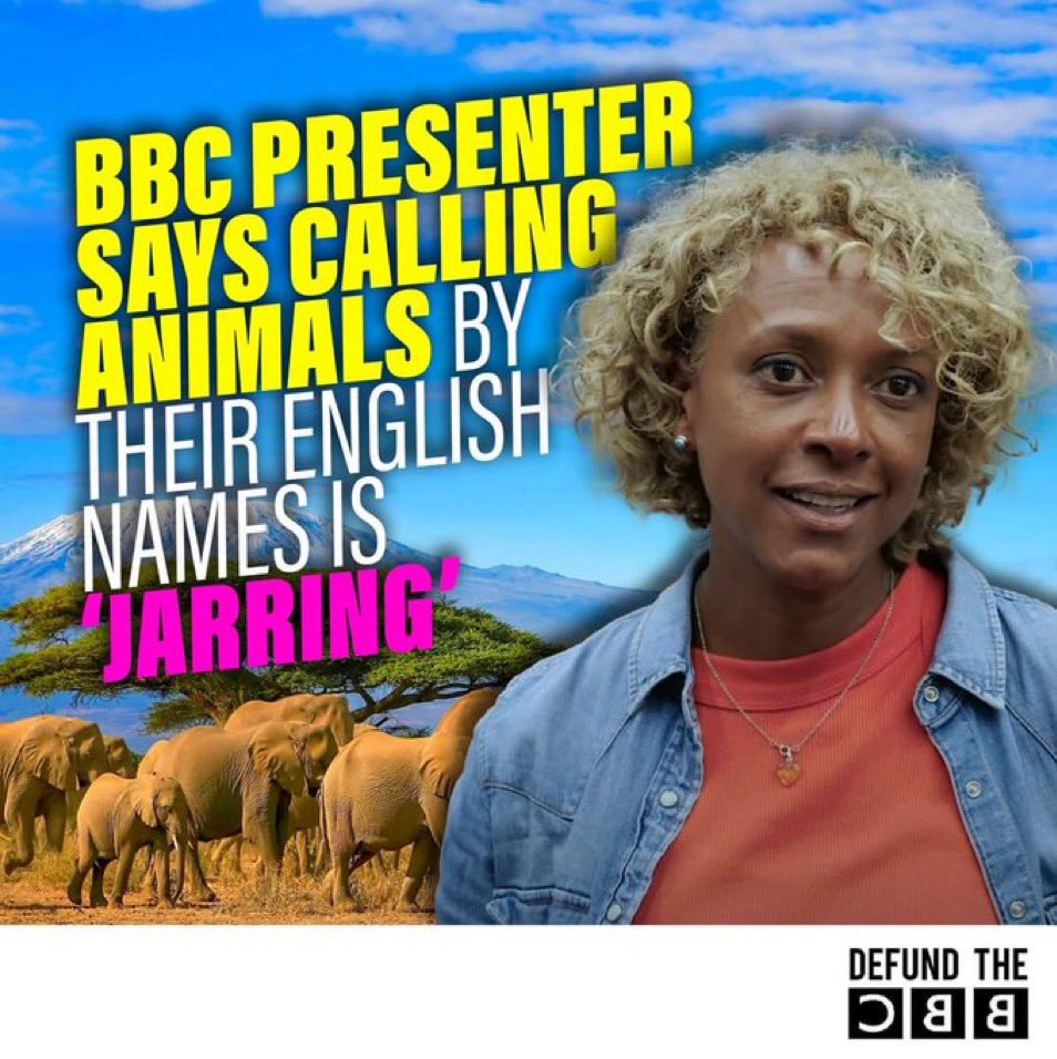 I suggest she gets a job on an African TV channel.

The BBC is teeming with these half wits.

#DefundTheBBC