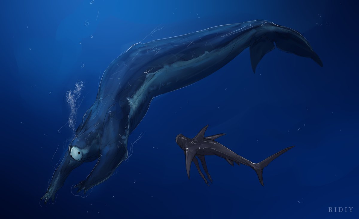 2 Cetacean 
#mermay2024
