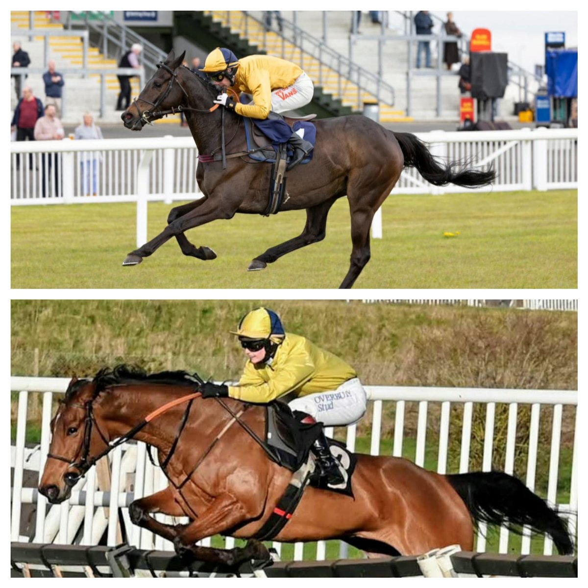 🔵🟡Richard Johnson Racing 🟡🔵 Delighted with are first season 🏇 With are 2 horses Party Vibes & Imperial Saint. 💥11 runners 💥4 winners We are sourcing new horses for next season Get in touch to get involved 📧richardjohnsonracing@gmail.com 📞 07885765361