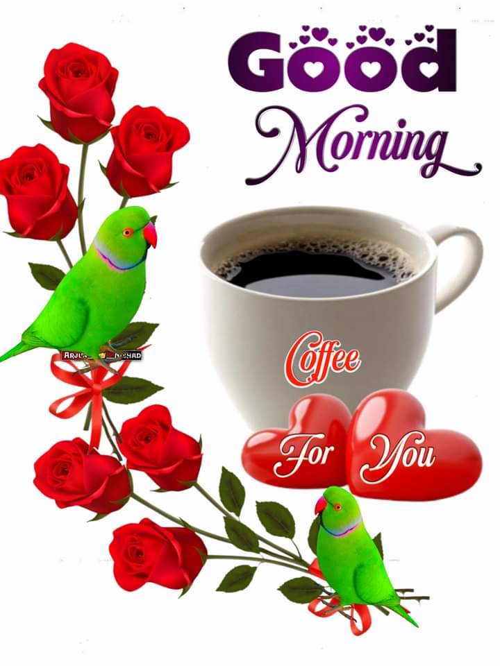 Assalamualaikum 🌹
Good morning 🌄 
Will you reply my salam 🔙