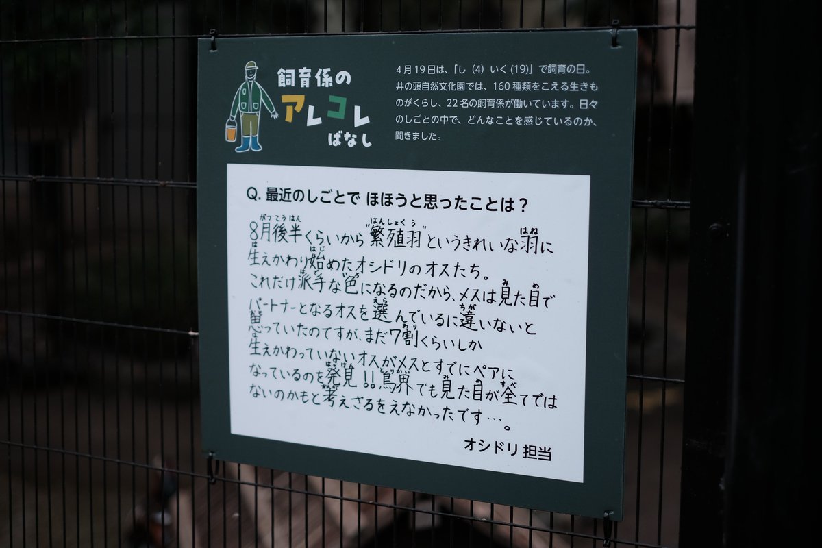 井の頭自然文化園の飼育員さんの声。動物を毎日近くで愛着を持って見守っている人の観察眼や着眼点はおもしろい。限られた資源の中で動物たちがより快適に暮らせるように工夫を凝らしていることもうかがえてうれしい気持ちになる。絵の上手い飼育員さんがいるな。