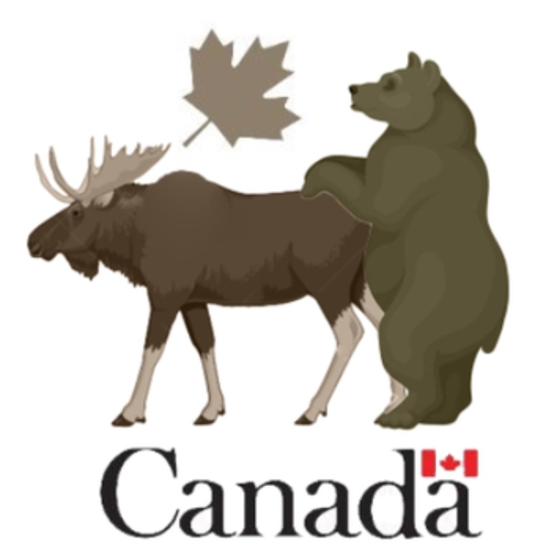 Higher resolution of the new canadian army logo 🤣