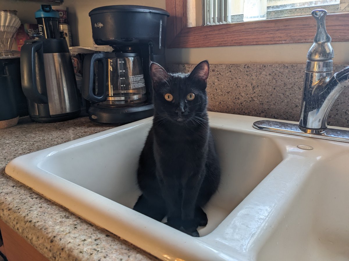 The Flaming Monocle tweet media