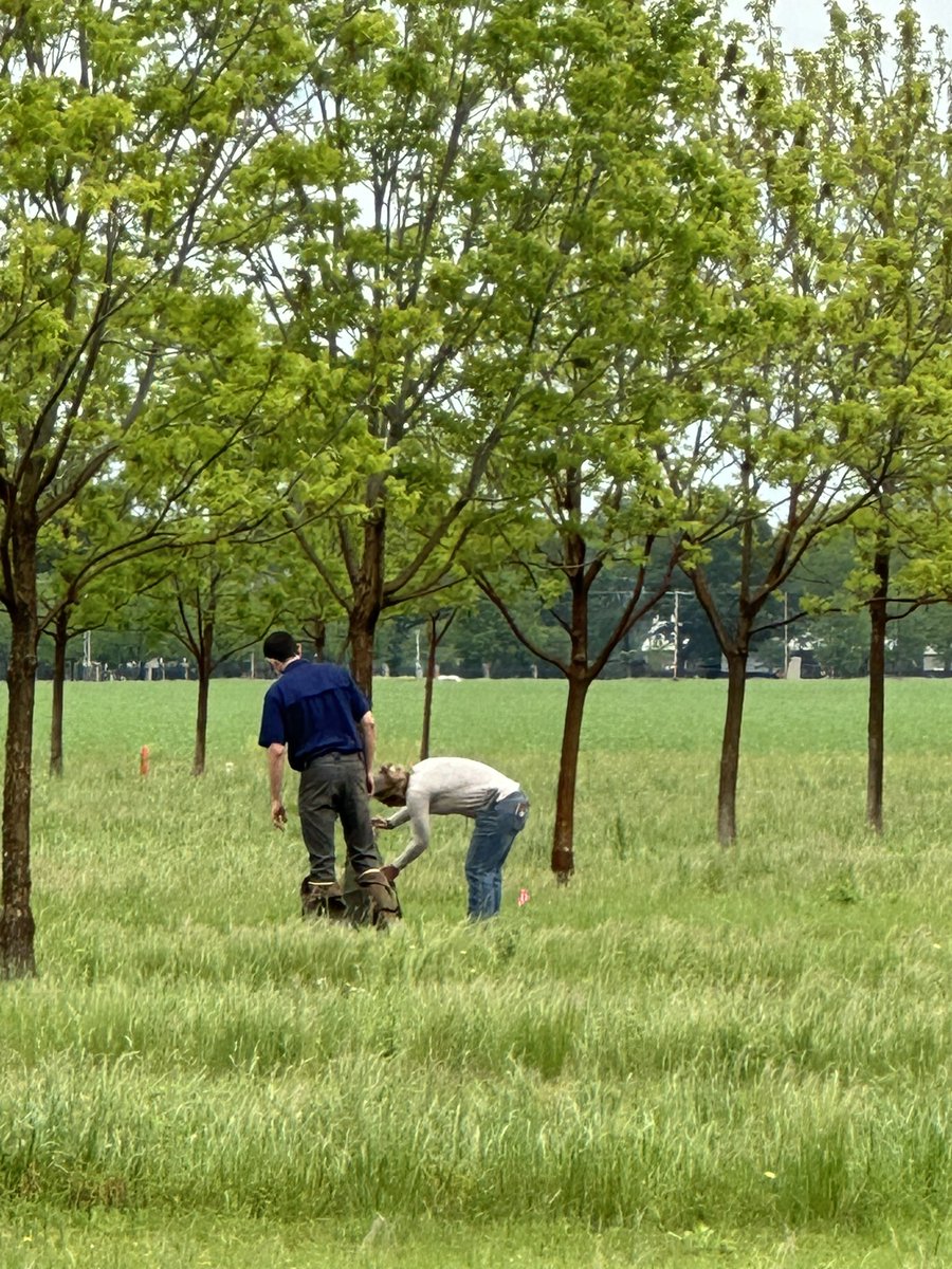 PecanTri's tweet photo. Our team met and got traps and telemetry units installed on all three cooperators this week!  We even had some time to teach a few grafting techniques! https://t.co/cLcVVMQ3q4
