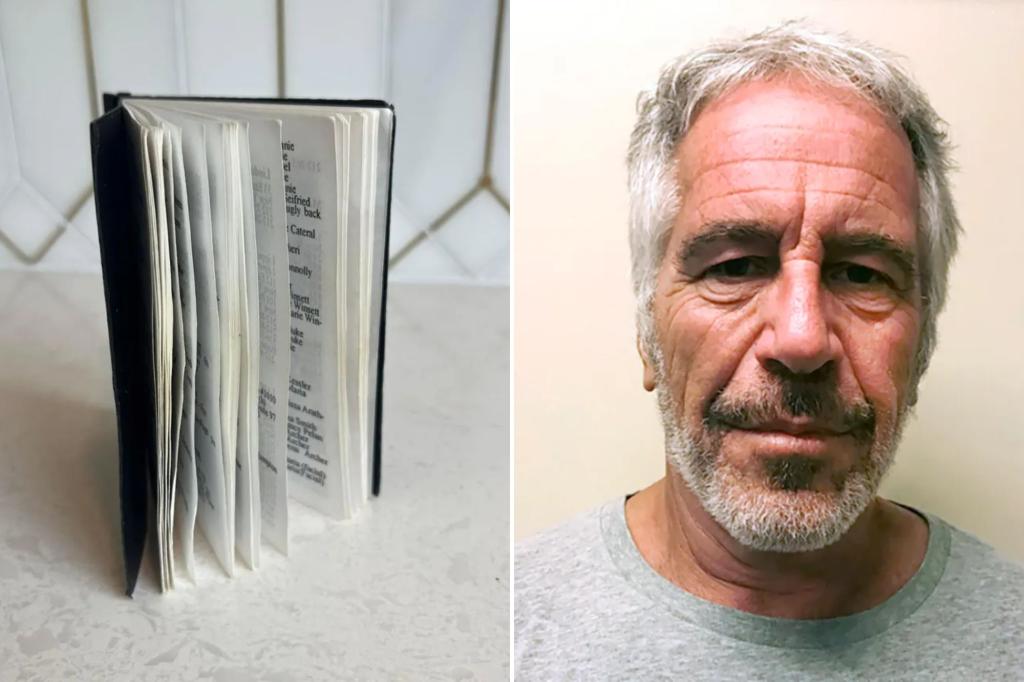 Jeffrey Epstein’s ‘black book’ with 221 additional high-profile names is being sold to a secret bidder trib.al/WyVaKg1