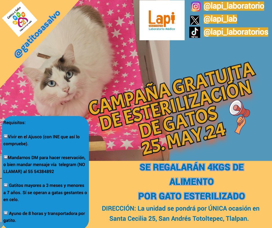 #FAMILIAFELINA, recuerden que gracias a @lapi_lab, tenemos CAMPAÑA GRATUITA DE ESTERILIZACIÓN DE GATOS el 25 de Mayo. Gracias a los precios de @Oscar_VeCa tenemos 20 lugares en San Andrés Totoltepec, Tlalpan. Por cada gato esterilizado, regalaremos 4 kgs de alimento.…