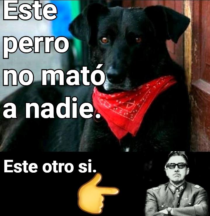 #TeAmamosNegrito