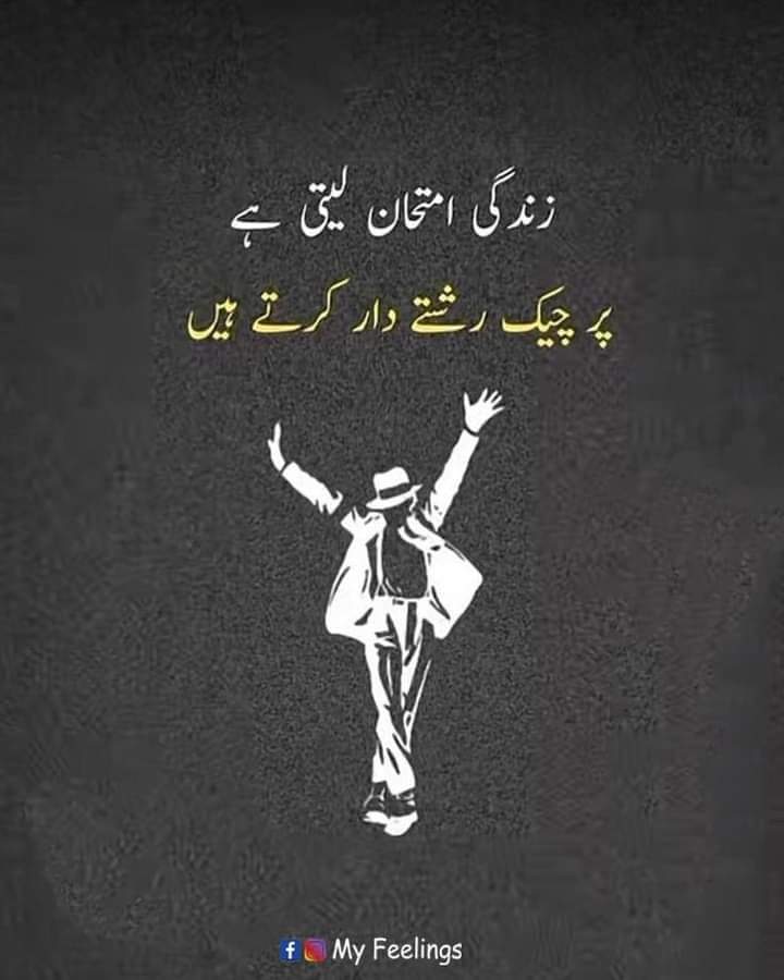 Muhammad Shabbir (@muhamma22611172) on Twitter photo 