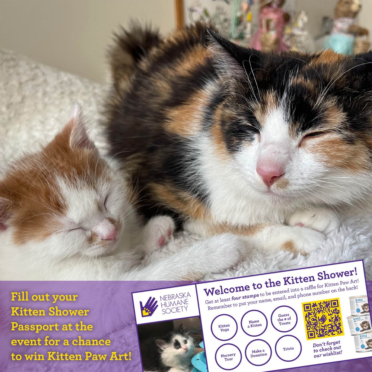 NEHumaneSociety's tweet photo. The #KittenShower is tomorrow morning! If you signed up for Kitten Yoga we'll see you bright and early at 9am, and we'll see everyone else when the doors open at 10am! Tune into our cat account (@nhscats) tomorrow for live updates!
See you all in the morning! https://t.co/tA321mjDkf
