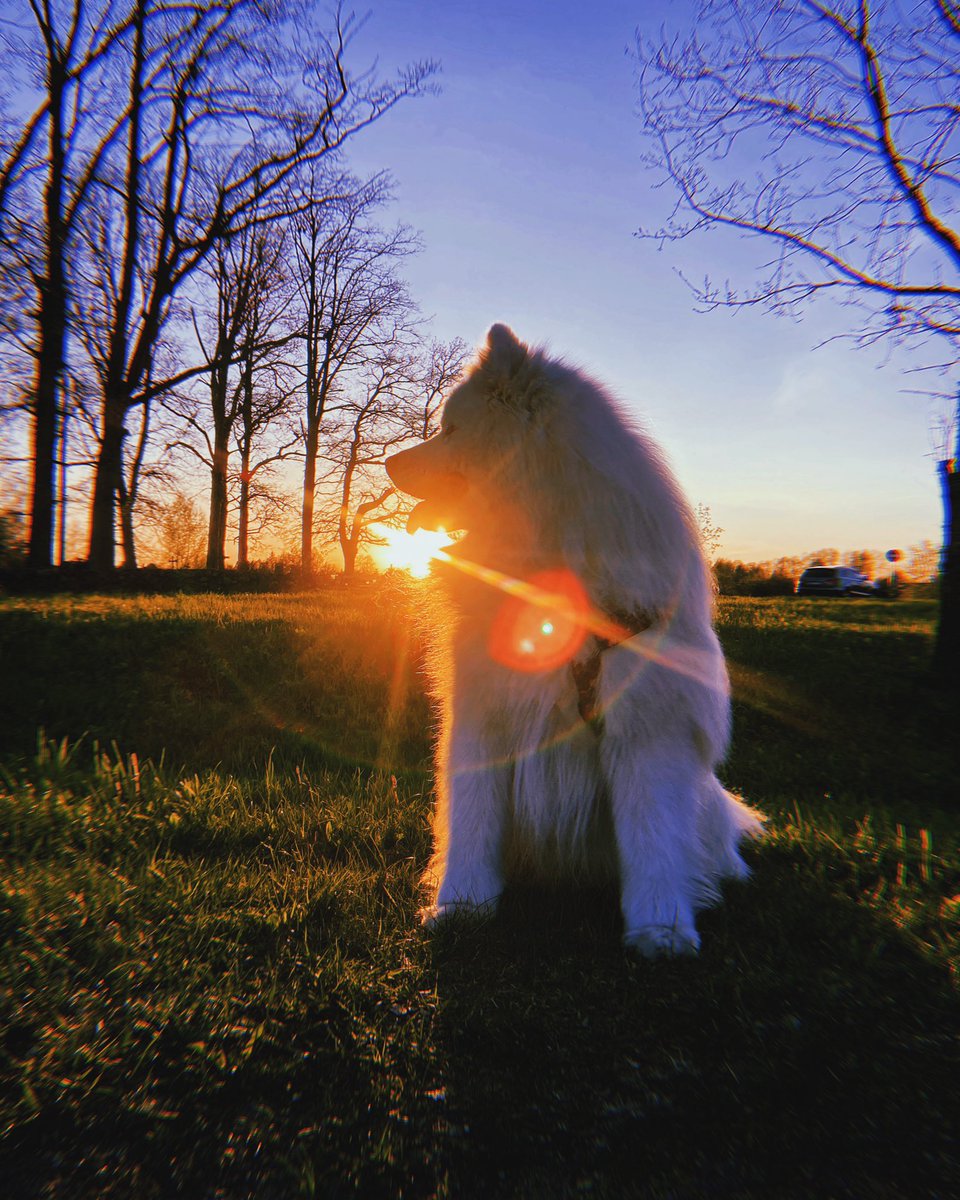 Sunny walks☀️♥️