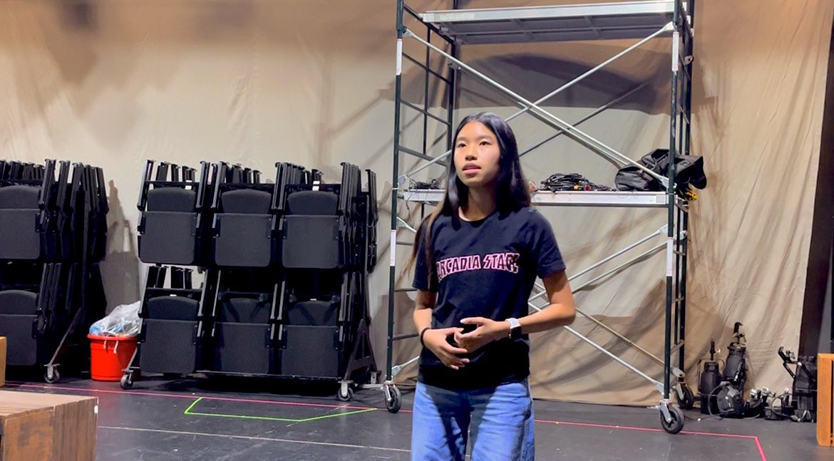 Romeo and Juliet is almost here! Our intermediate class has been working hard to give you an amazing show! Buy your tickets NOW @ arcadiastage.com for May 9,10 @ 7pm and May 11 @ 1pm!