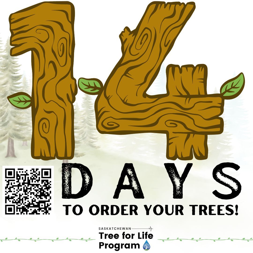 SAWatersheds's tweet photo. SAW is a non-profit, non-government organization working in the province. Money raised will go towards watershed stewardship programming across SK!
The Tree for Life Program will be accepting orders until May 17, 2024 โ while supplies last!
#Saskfarming #UrbanPlanning https://t.co/nFdUbR7QHp