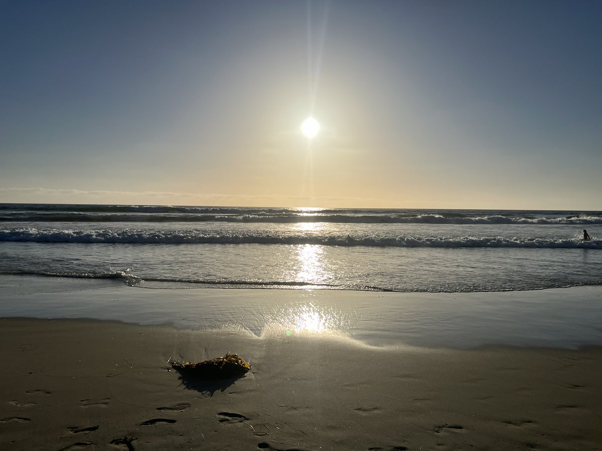Brandi Locker tweet media