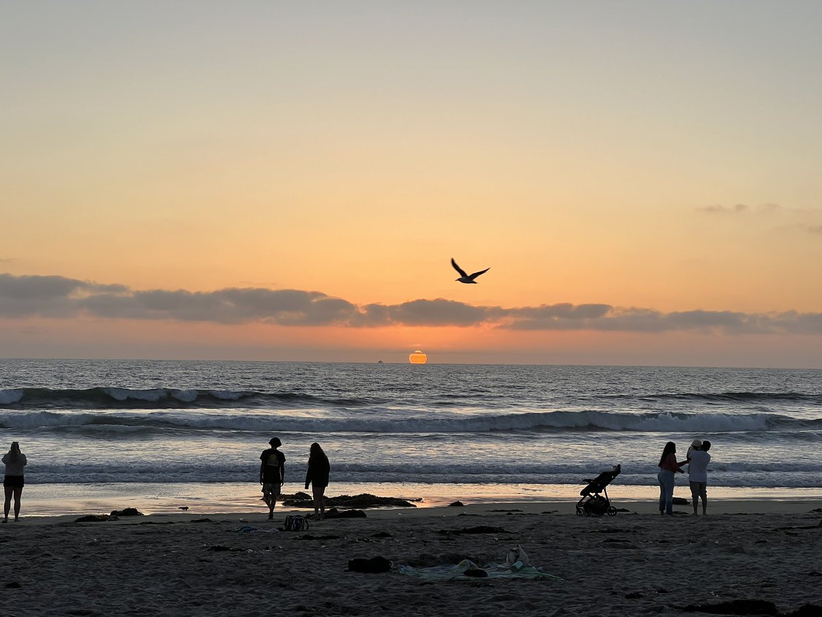 Brandi Locker tweet media