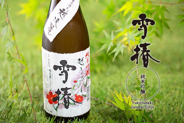 【5月からの新潟の日本酒】その1

越淡麗100%の上品で爽やかな香り、
まろやかなのど越しで、初夏にピッタリな軽めの日本酒です

越乃雪椿　純米吟醸

加茂市　雪椿酒造

元純烈のリーダー小田井涼平さんが、テレビの撮影で来館した際に、角屋旅館の料理とのマッチングがいいとコメントを頂きました