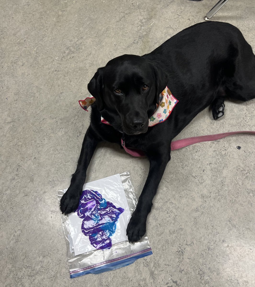 We tried to get Loxley to join in on the fun in art class at @wolvestweet 🙃 #packpride #WEareLakota